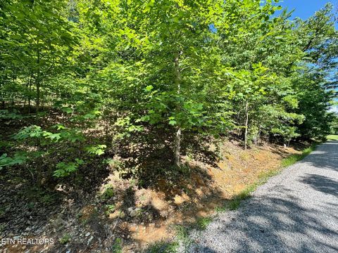 Photo of 626 N Pointe Tr, Allons, TN 38541 (MLS # 1336720)