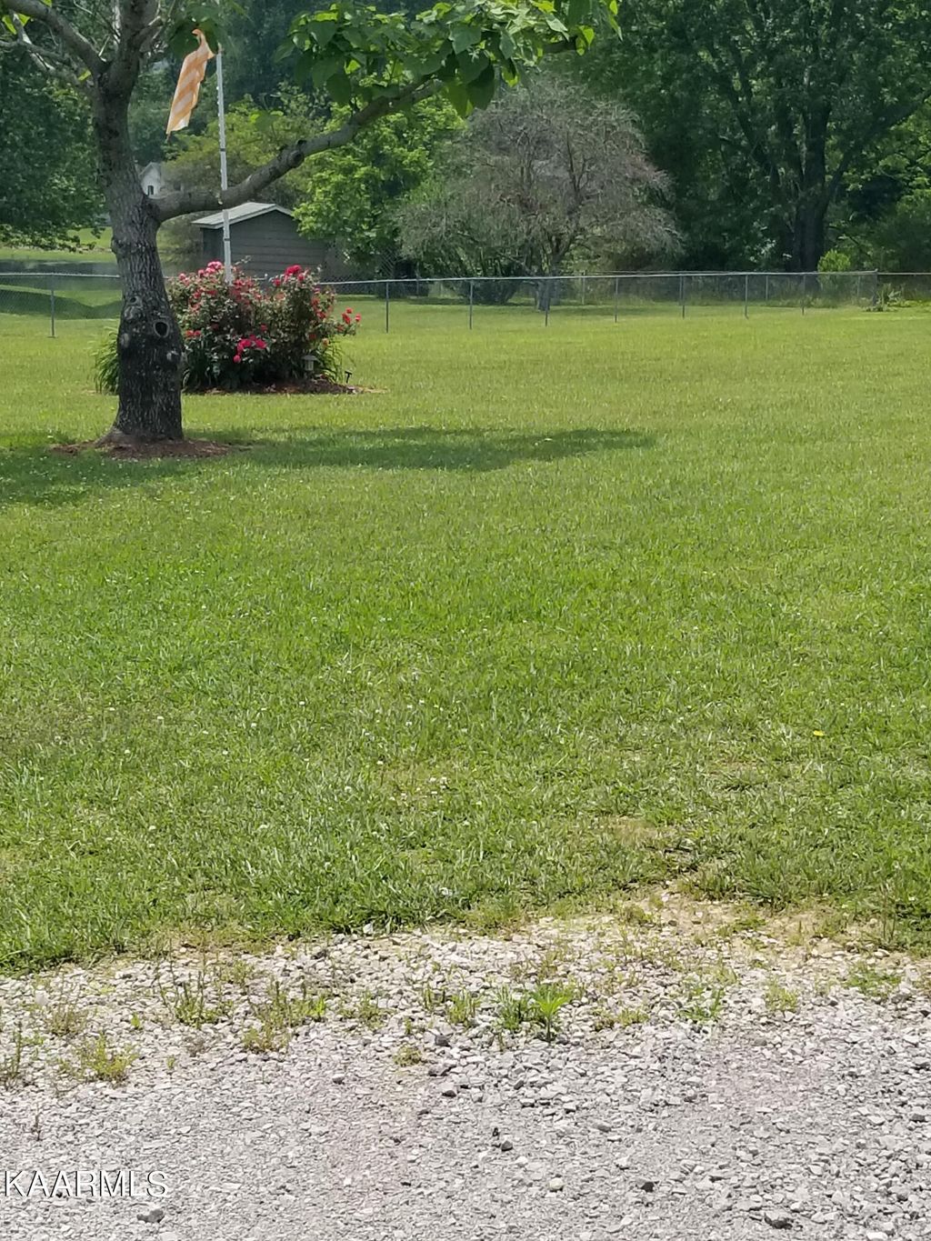 Photo of Circle Drive, Wartburg, TN 37887 (MLS # 1228143)