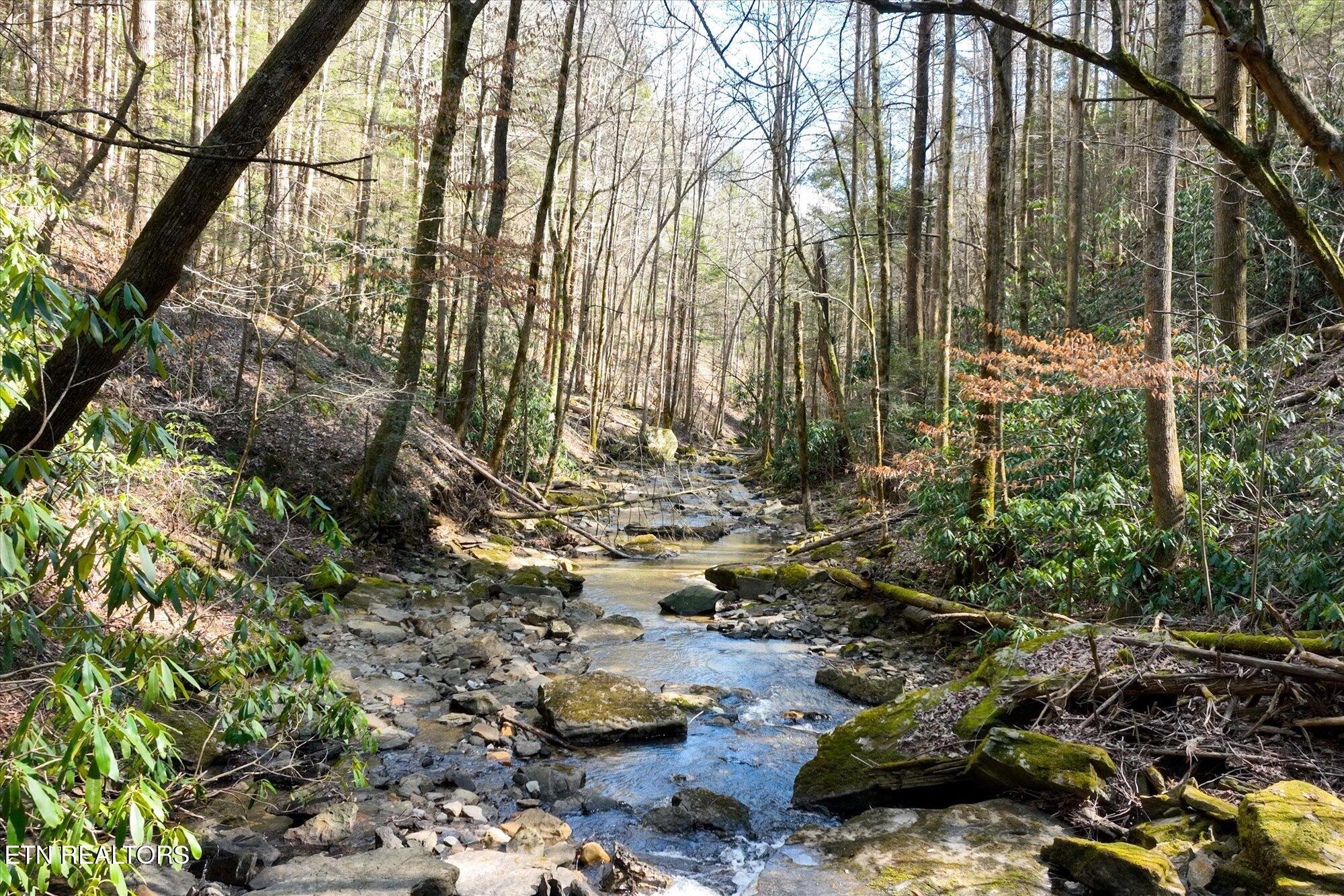 5135 Wolf Branch Lane