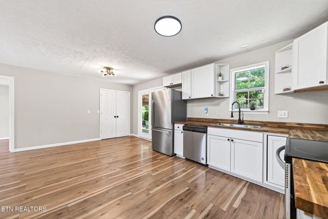 Tiny photo for 651 Prentice St, Crossville, TN 38555 (MLS # 1339304)