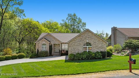 Photo of 124 Daleyuhski Way, Loudon, TN 37774 (MLS # 1336401)