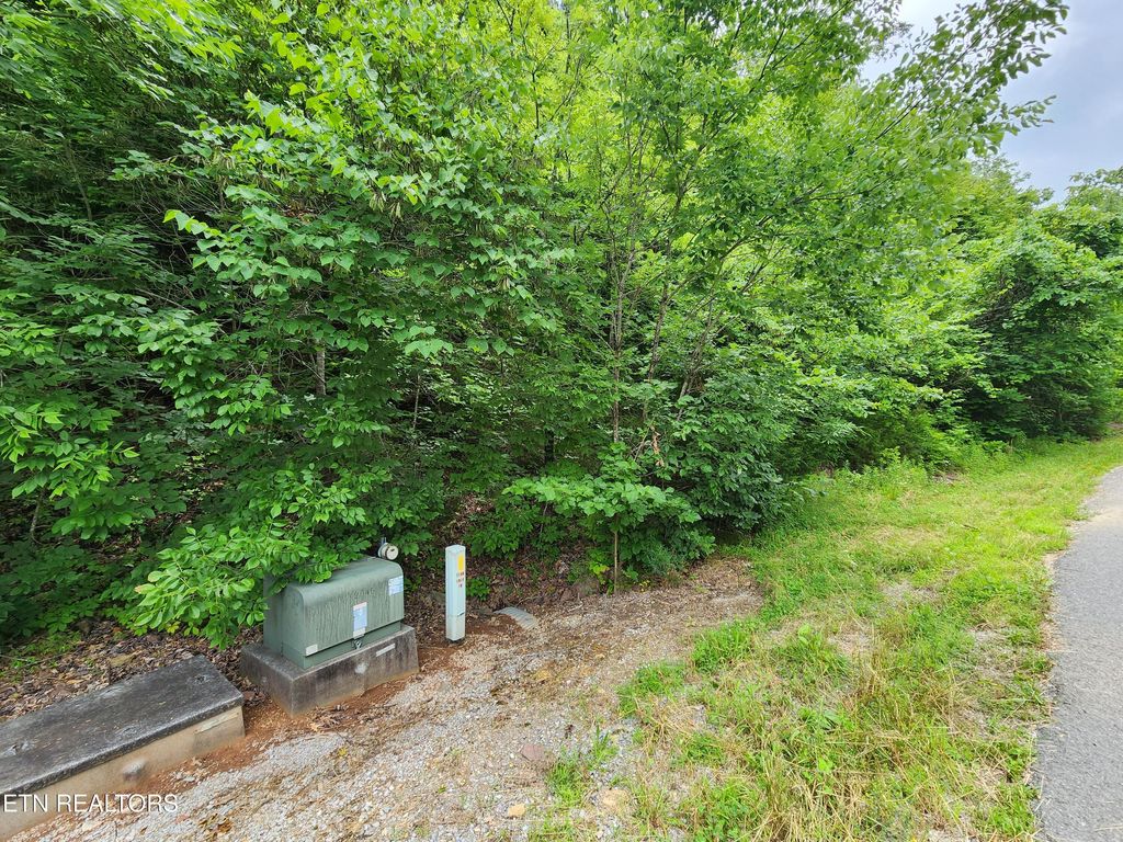 Photo of 801 lot Russell Brothers Rd, Sharps Chapel, TN 37866 (MLS # 1309343)