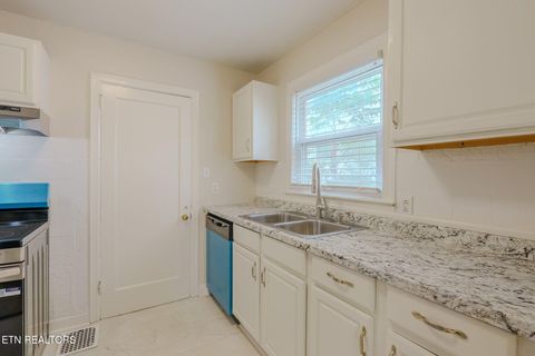 Tiny photo for 301 S Mary St, Knoxville, TN 37914 (MLS # 1317864)