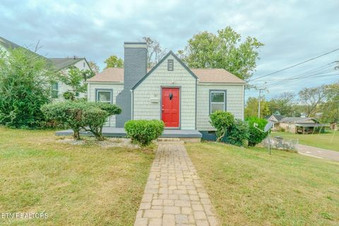 Photo of 301 S Mary St, Knoxville, TN 37914 (MLS # 1317864)