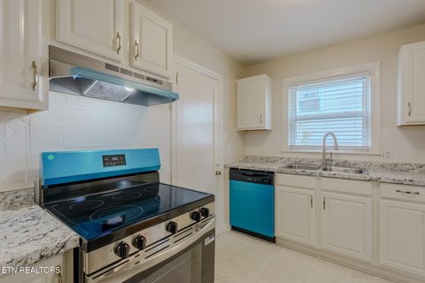 Tiny photo for 301 S Mary St, Knoxville, TN 37914 (MLS # 1317864)