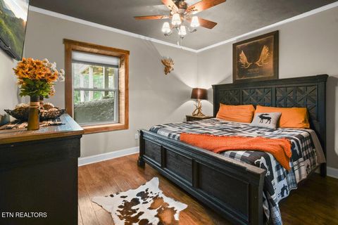 Tiny photo for 850 Sylvia Lane, Sevierville, TN 37876 (MLS # 1342045)
