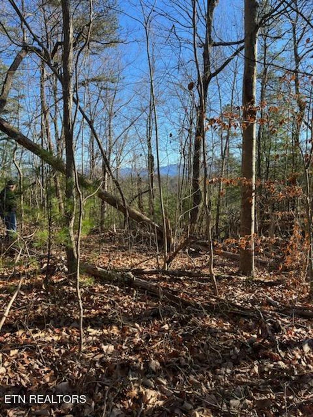 Photo of Overlook View Rd, Walland, TN 37886 (MLS # 1247660)