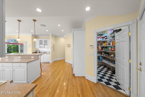 Tiny photo for 1729 Harrisburg Mill Rd, Sevierville, TN 37876 (MLS # 1323003)