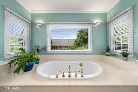 Tiny photo for 1729 Harrisburg Mill Rd, Sevierville, TN 37876 (MLS # 1323003)