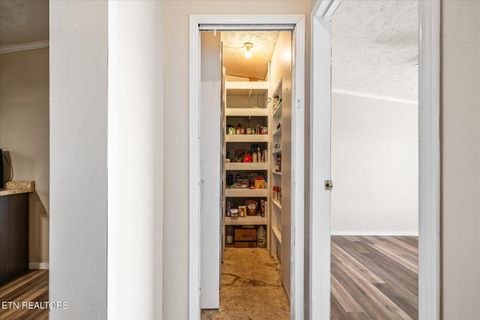 Tiny photo for 102 Flat Rock Rd, Deer Lodge, TN 37726 (MLS # 1316398)