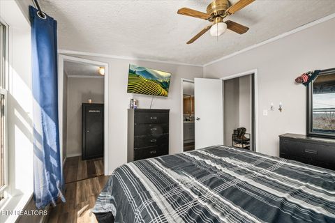 Tiny photo for 102 Flat Rock Rd, Deer Lodge, TN 37726 (MLS # 1316398)