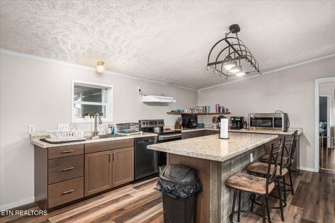 Tiny photo for 102 Flat Rock Rd, Deer Lodge, TN 37726 (MLS # 1316398)