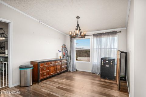 Tiny photo for 102 Flat Rock Rd, Deer Lodge, TN 37726 (MLS # 1316398)