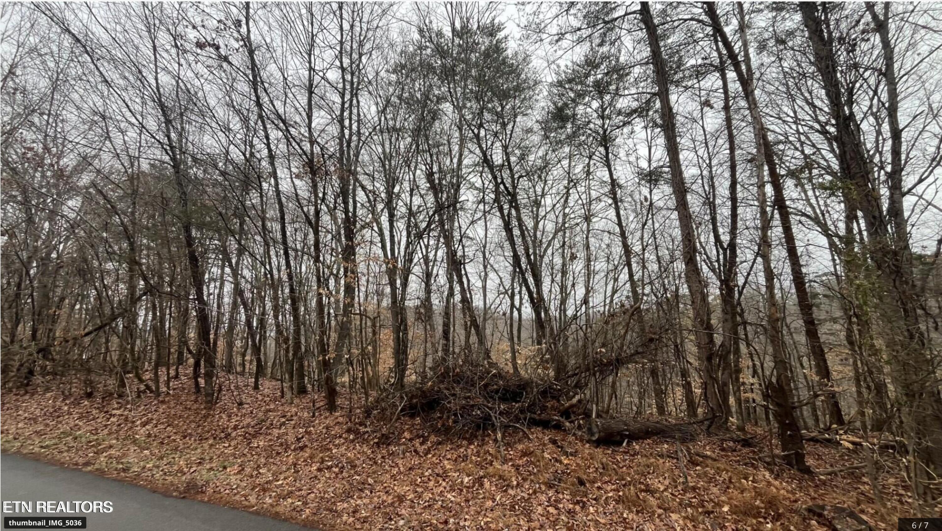 Mountain View Lane, Lot #1100