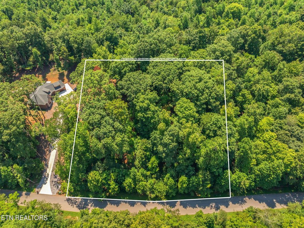 Photo of 115 Lake Harbor Dr Drive, Lenoir City, TN 37772 (MLS # 1313097)