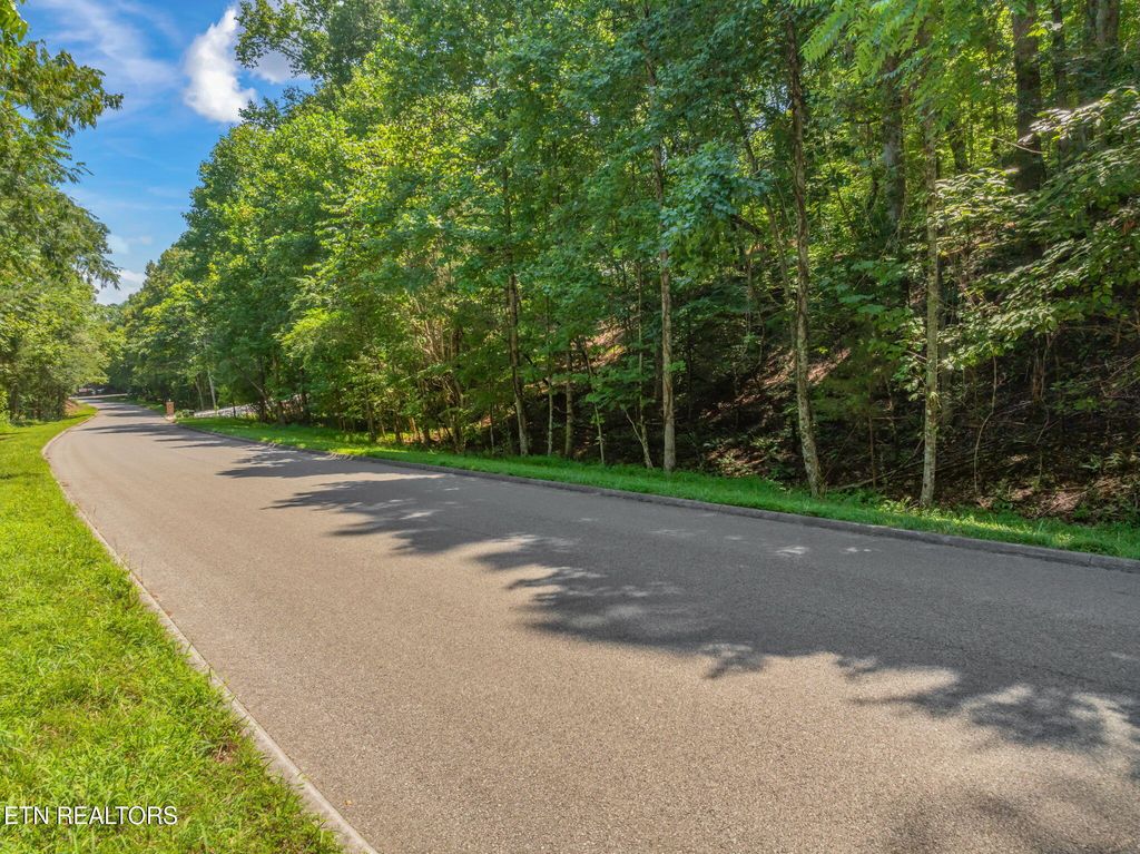 Photo of 115 Lake Harbor Dr Drive, Lenoir City, TN 37772 (MLS # 1313097)