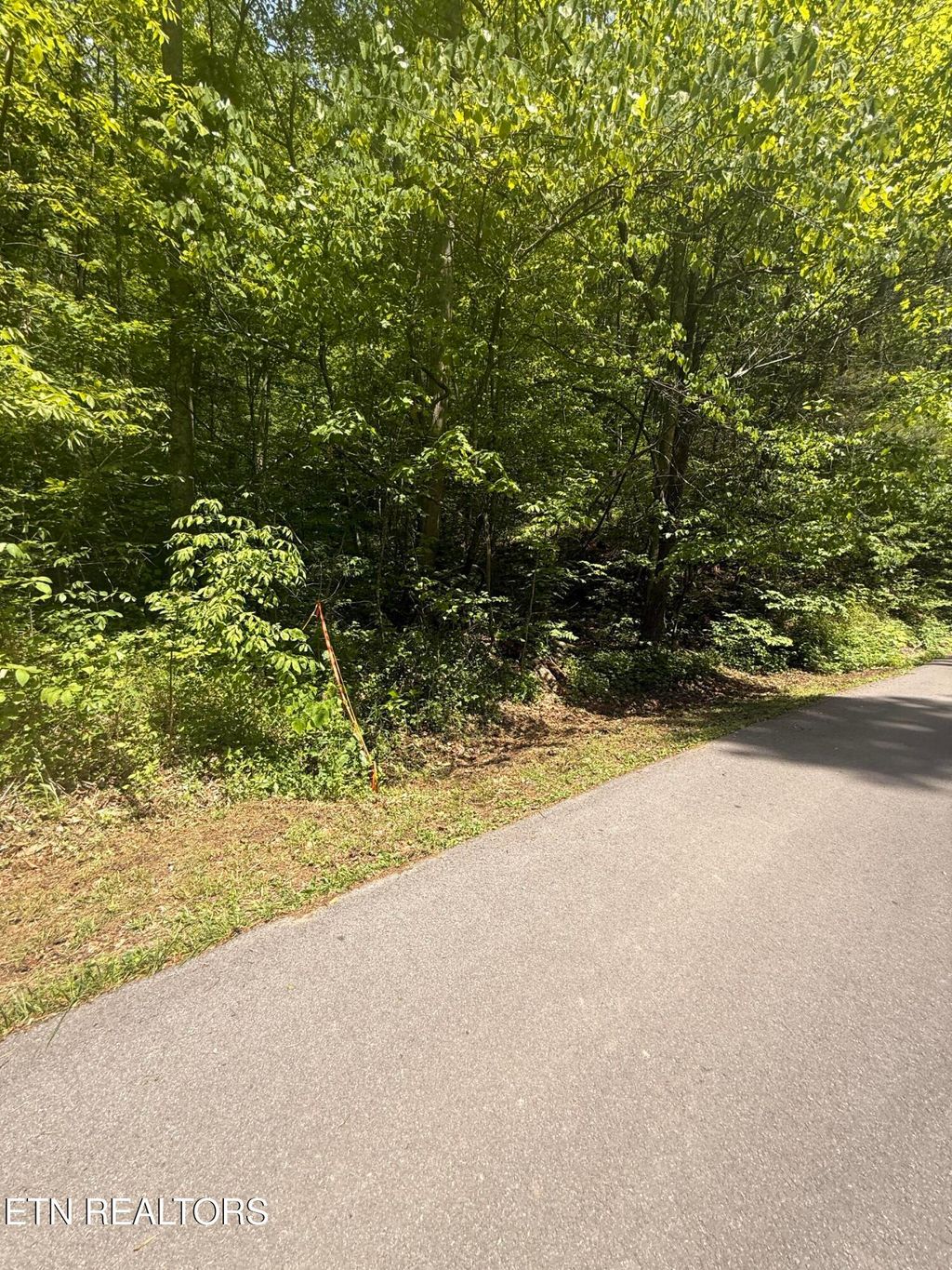 Photo of 4045 Suttons Rd, Sevierville, TN 37876 (MLS # 1338555)
