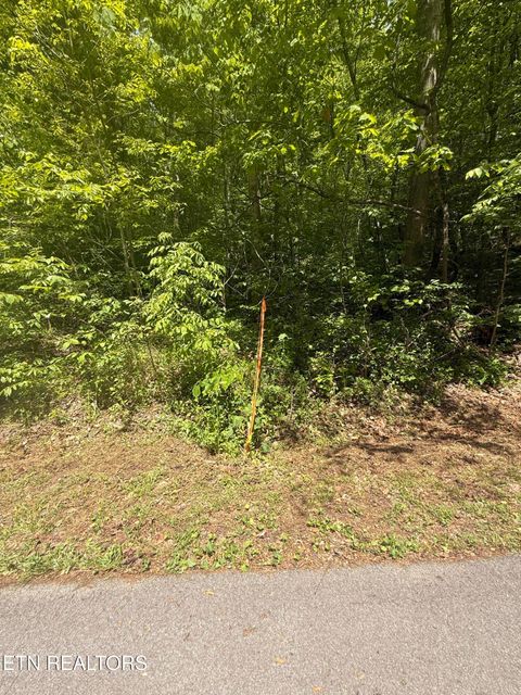 Photo of 4045 Suttons Rd, Sevierville, TN 37876 (MLS # 1338555)