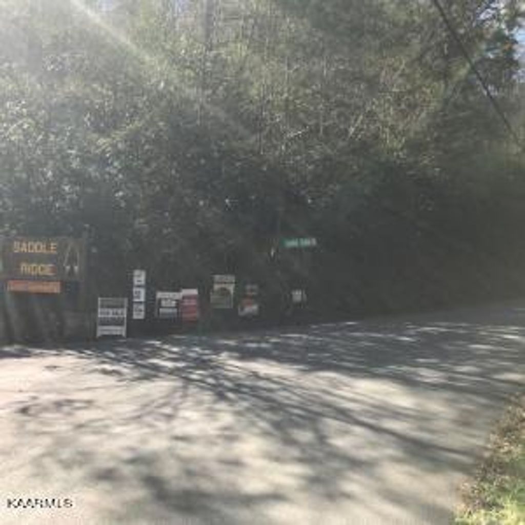 Photo of Walnut Flats, Walland, TN 37886 (MLS # 1193801)