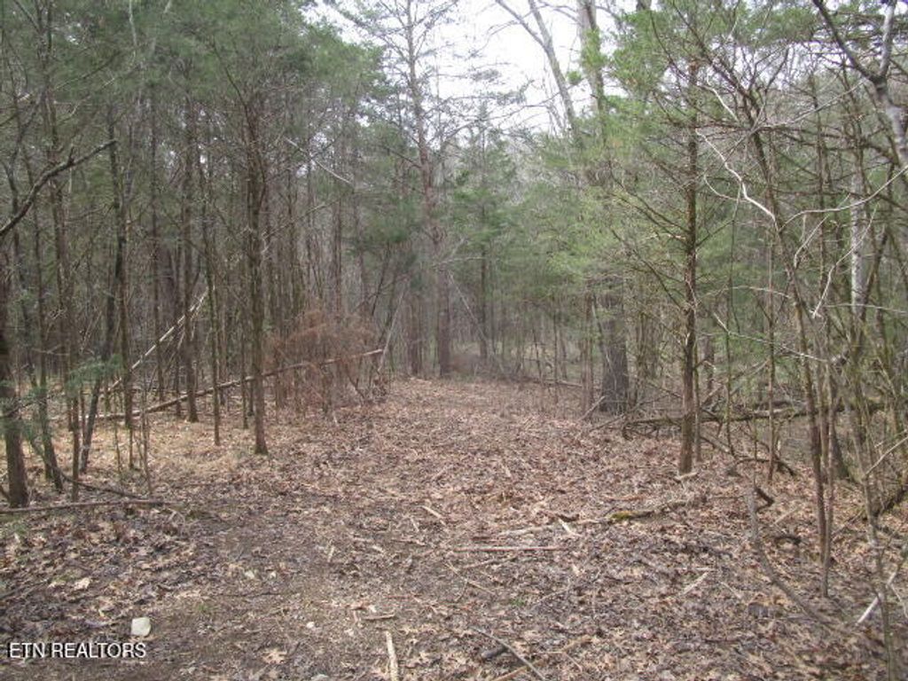 Photo of Washington Pike, Luttrell, TN 37779 (MLS # 1333712)