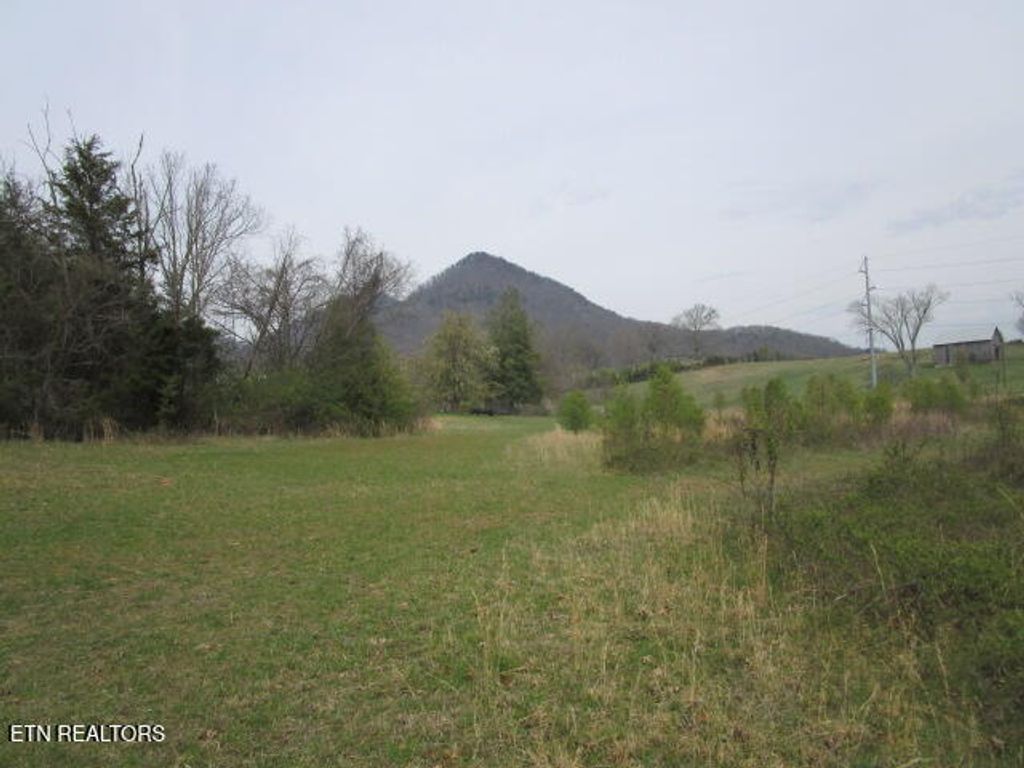 Photo of Washington Pike, Luttrell, TN 37779 (MLS # 1333712)