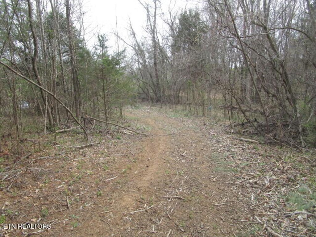 Photo of Washington Pike, Luttrell, TN 37779 (MLS # 1333712)