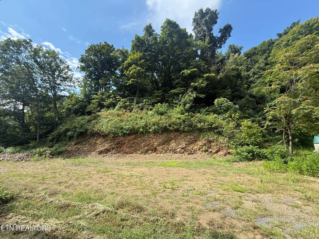Photo of 517 Tuggle Hill Rd, Rogersville, TN 37857 (MLS # 1351189)