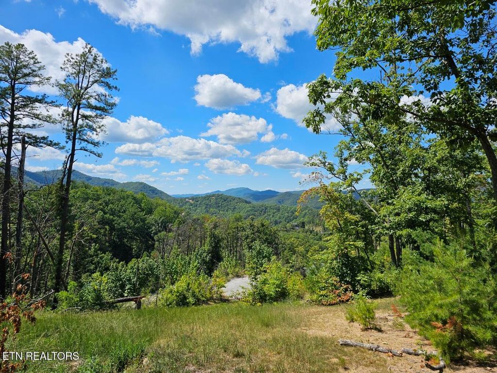 Photo of Crown Circle, Sevierville, TN 37862 (MLS # 1324844)