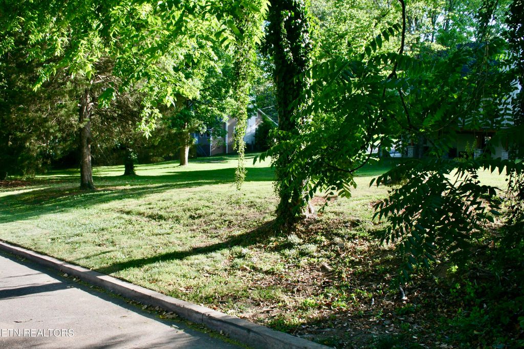 Photo of 0 Iskagna Drive, Knoxville, TN 37919 (MLS # 1341370)