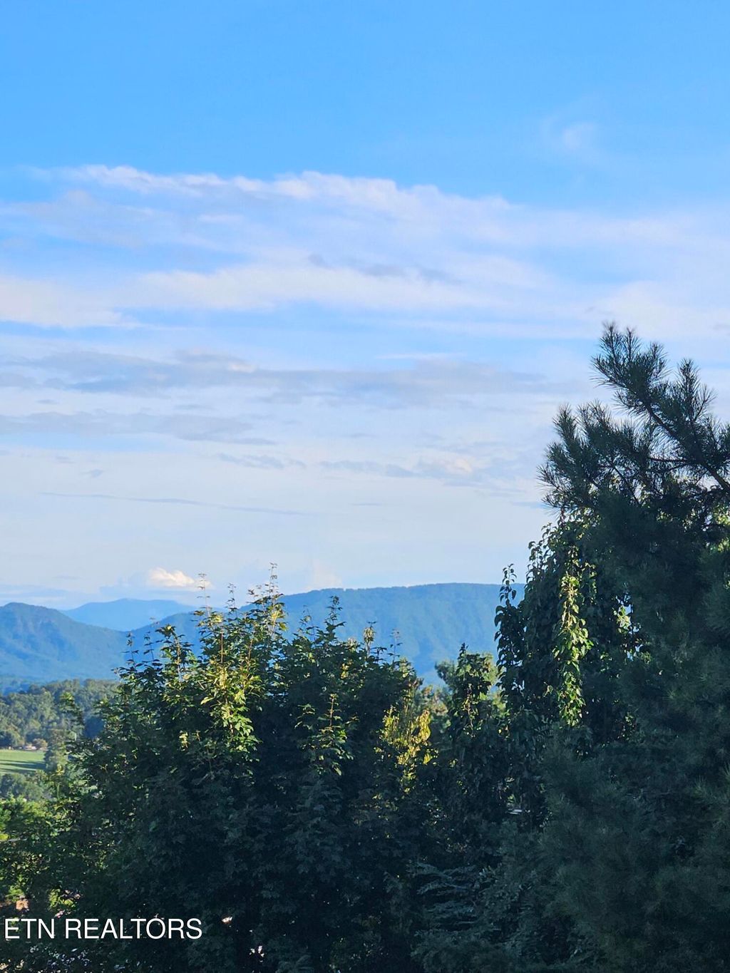 Photo of 209 Cherokee Tr, Seymour, TN 37865 (MLS # 1306039)