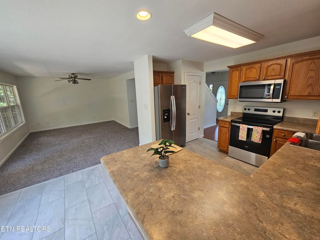 Photo of 209 Cherokee Tr, Seymour, TN 37865 (MLS # 1306039)