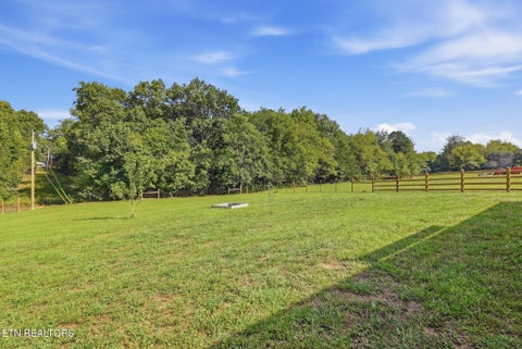 Tiny photo for 1255 Franklin Loop Loop, Clarkrange, TN 38553 (MLS # 1355900)