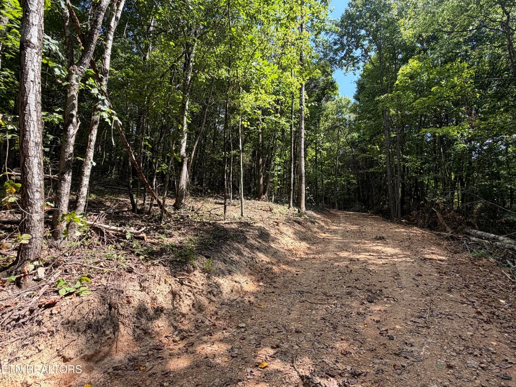 Photo of 728 N Highway 92, Jefferson City, TN 37760 (MLS # 1353745)