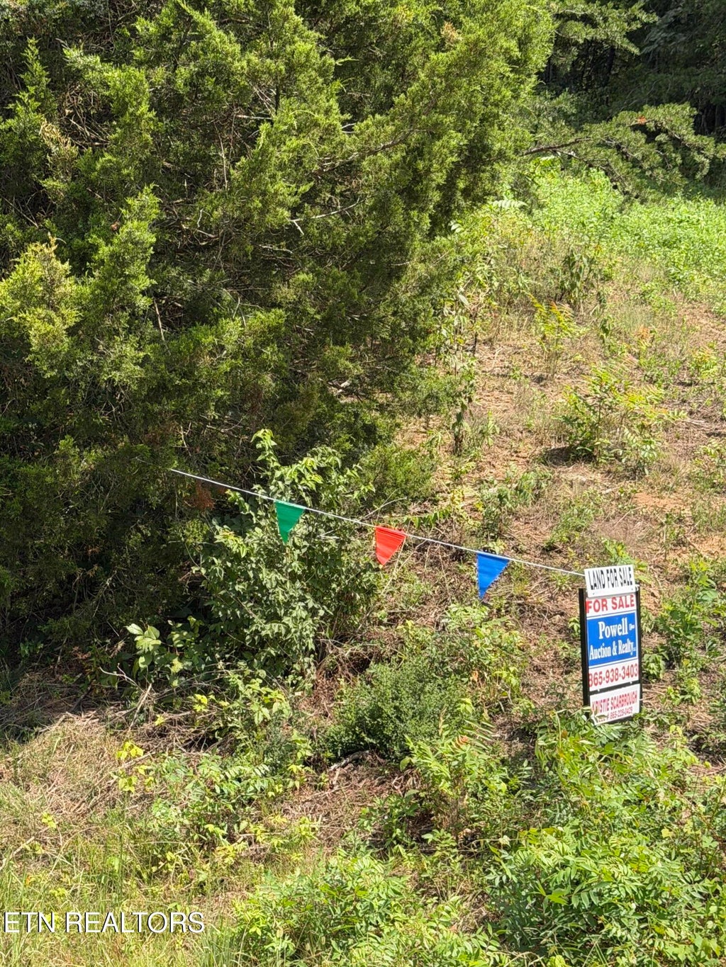 Photo of 728 N Highway 92, Jefferson City, TN 37760 (MLS # 1353745)