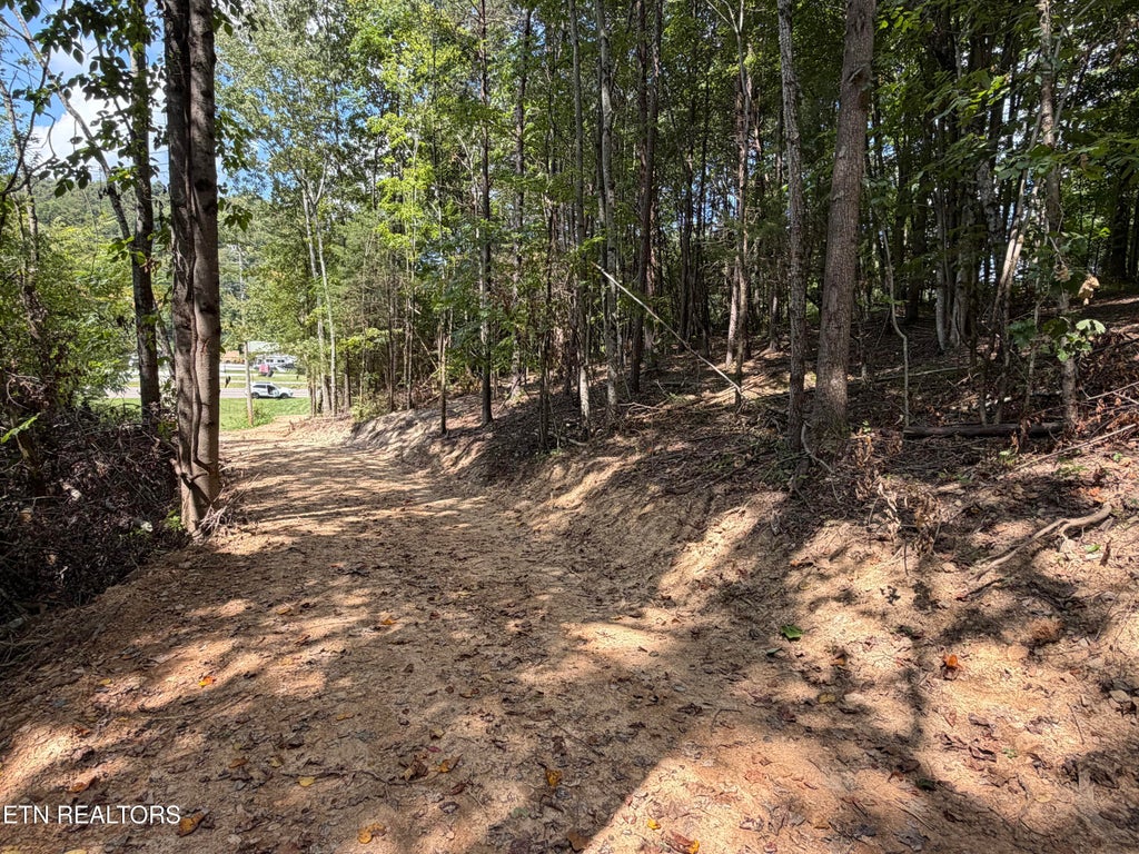 Photo of 728 N Highway 92, Jefferson City, TN 37760 (MLS # 1353745)