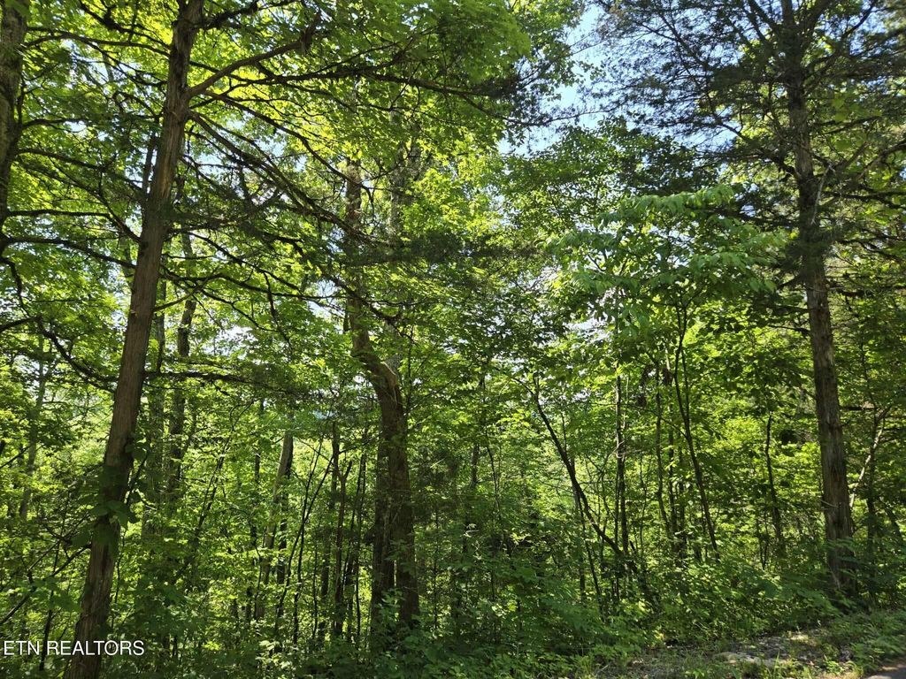 Photo of Log Mountain Rd, Washburn, TN 37888 (MLS # 1305904)