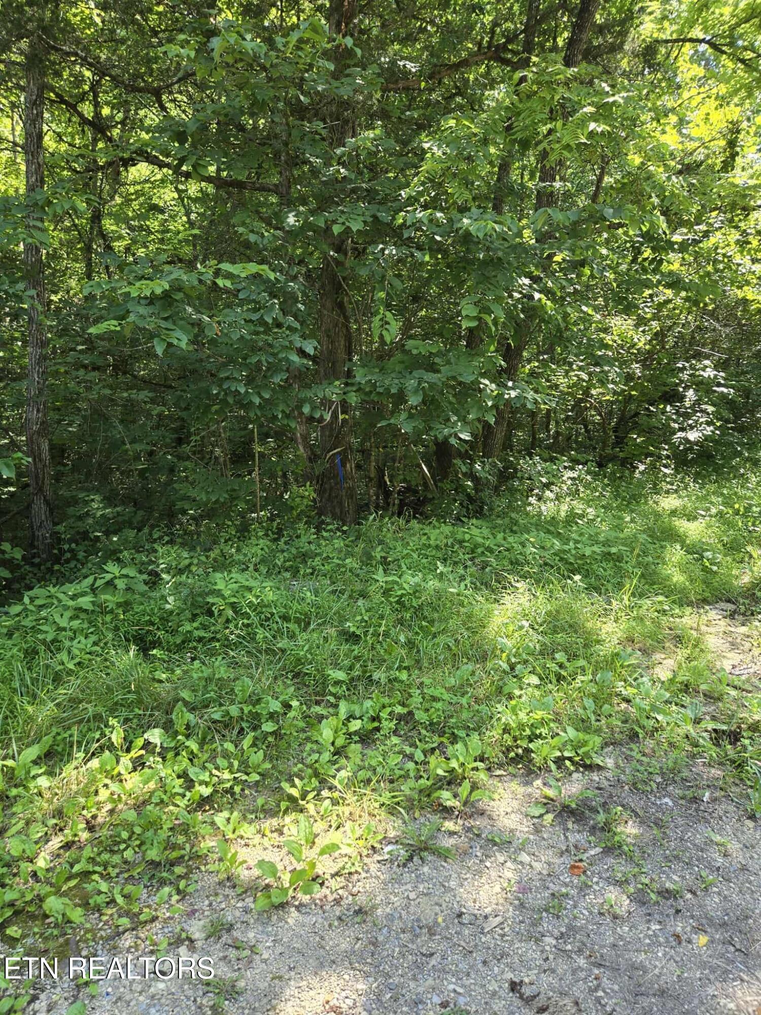Log Mountain Rd