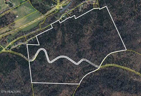 Log Mountain Rd Washburn TN 37888