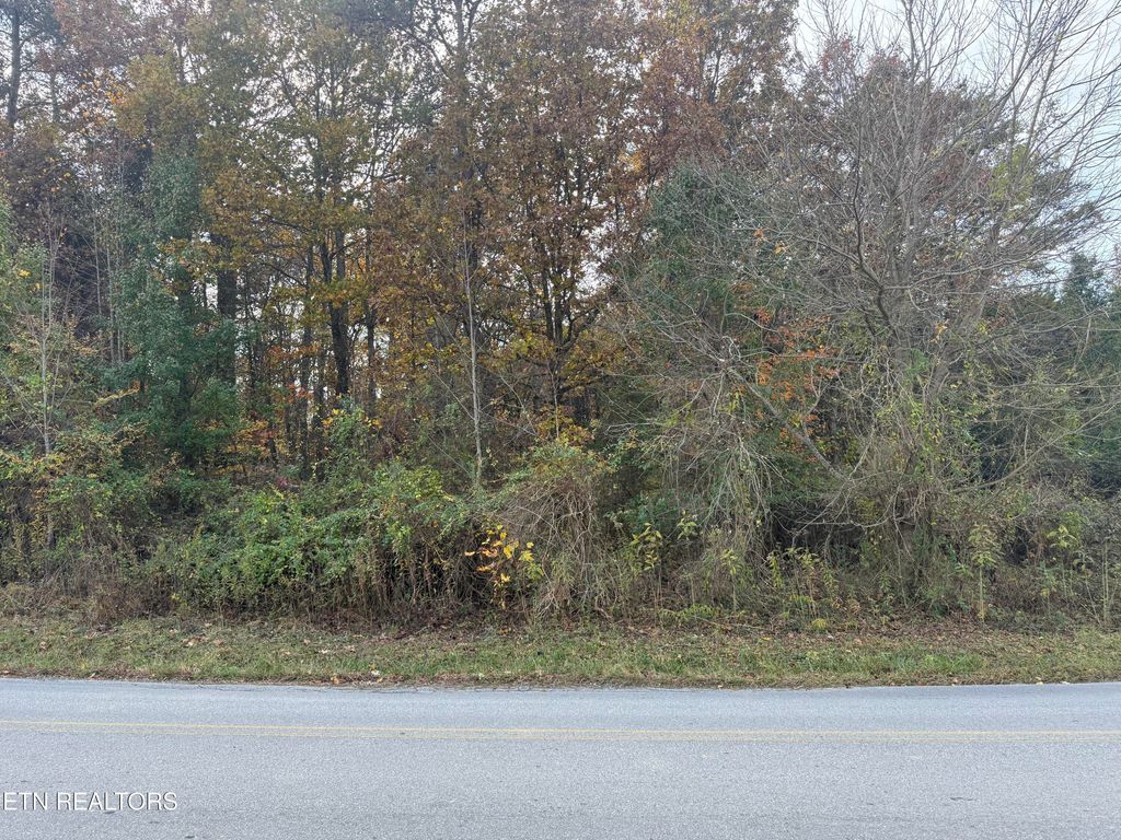 Photo of Nina Delozier Rd, Maryville, TN 37804 (MLS # 1321380)