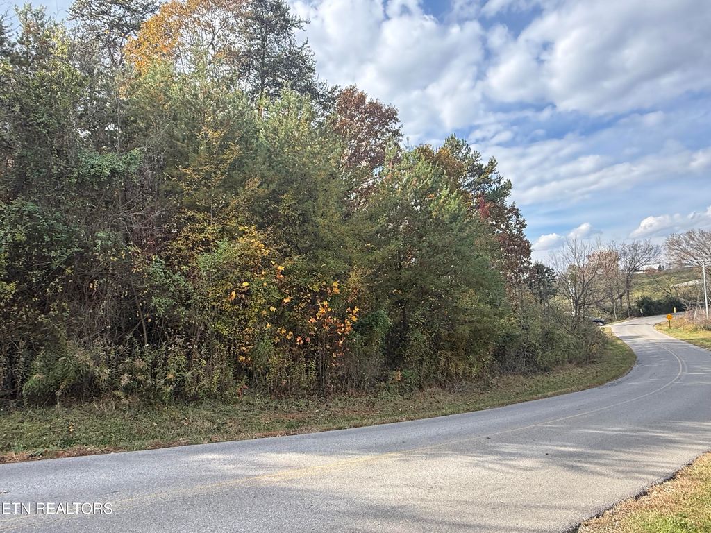 Photo of Nina Delozier Rd, Maryville, TN 37804 (MLS # 1321380)