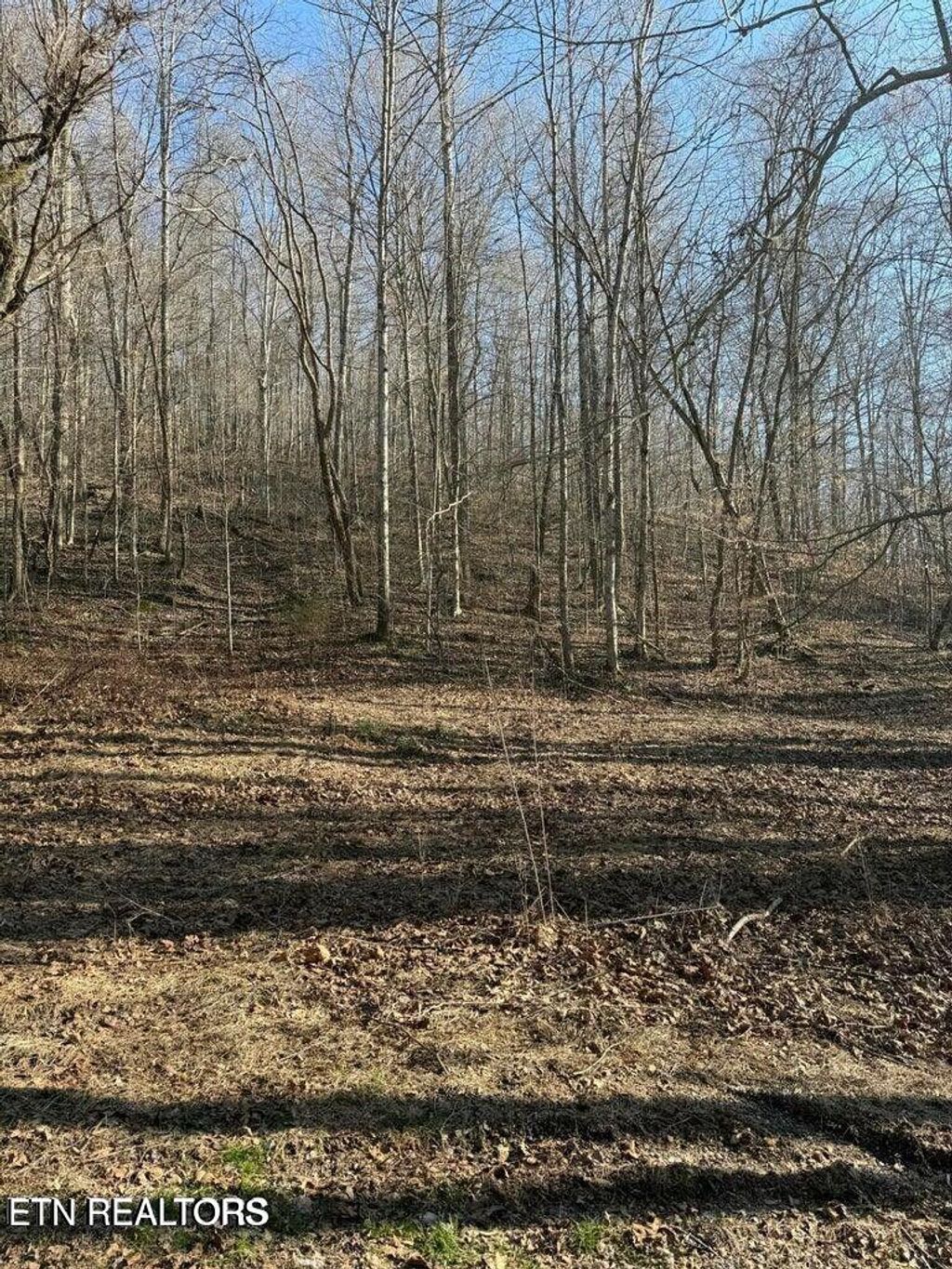 Photo of 00 Jackson Ridge Rd, Tazewell, TN 37879 (MLS # 1328789)