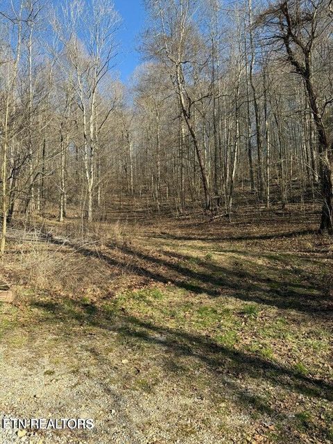 Photo of 00 Jackson Ridge Rd, Tazewell, TN 37879 (MLS # 1328789)