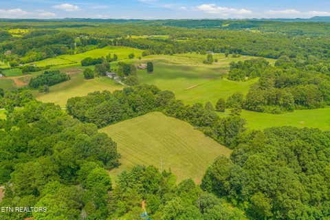Tiny photo for 3451 Highway 39, Athens, TN 37303 (MLS # 1347817)