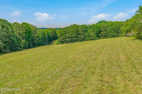 Tiny photo for 3451 Highway 39, Athens, TN 37303 (MLS # 1347817)