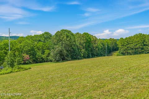 Tiny photo for 3451 Highway 39, Athens, TN 37303 (MLS # 1347817)
