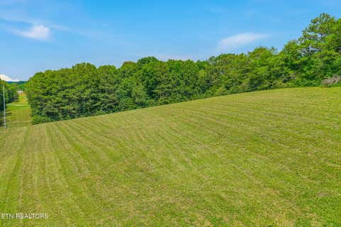 Tiny photo for 3451 Highway 39, Athens, TN 37303 (MLS # 1347817)
