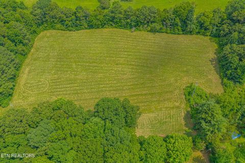 Tiny photo for 3451 Highway 39, Athens, TN 37303 (MLS # 1347817)