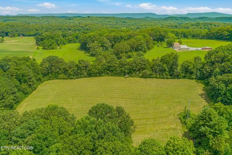 Tiny photo for 3451 Highway 39, Athens, TN 37303 (MLS # 1347817)
