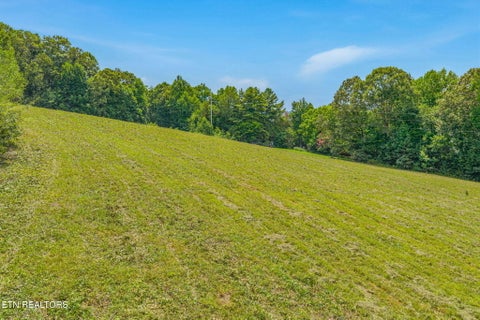 Tiny photo for 3451 Highway 39, Athens, TN 37303 (MLS # 1347817)