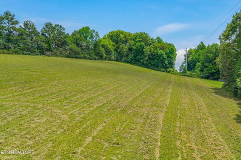 Tiny photo for 3451 Highway 39, Athens, TN 37303 (MLS # 1347817)